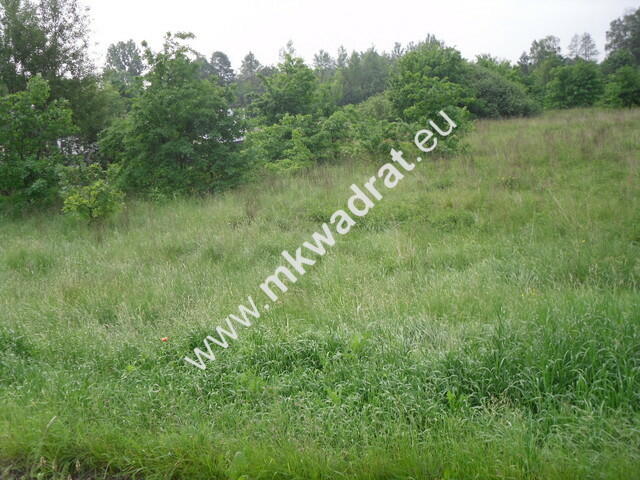 Działka Nowy wilków