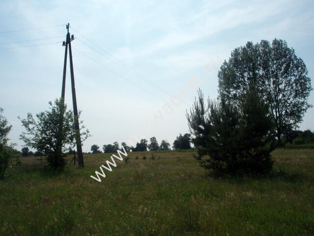 Działka usługowa, MPZP dopuszcza usługi różne