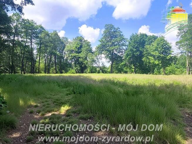 Działka budowlana Adamów-Wieś gm. Radziejowice