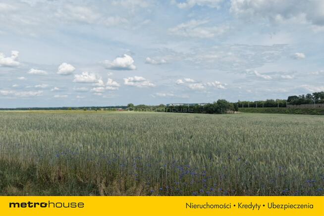Działki usługowe 95 ar - 1 km od Bolesławca
