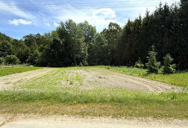 Las, działka leśna, wieś Holendernia, gm. Jabłoń