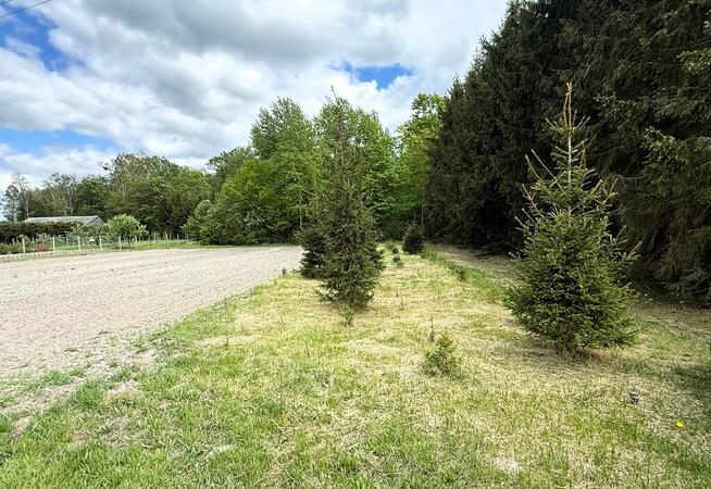 Las, działka leśna, wieś Holendernia, gm. Jabłoń