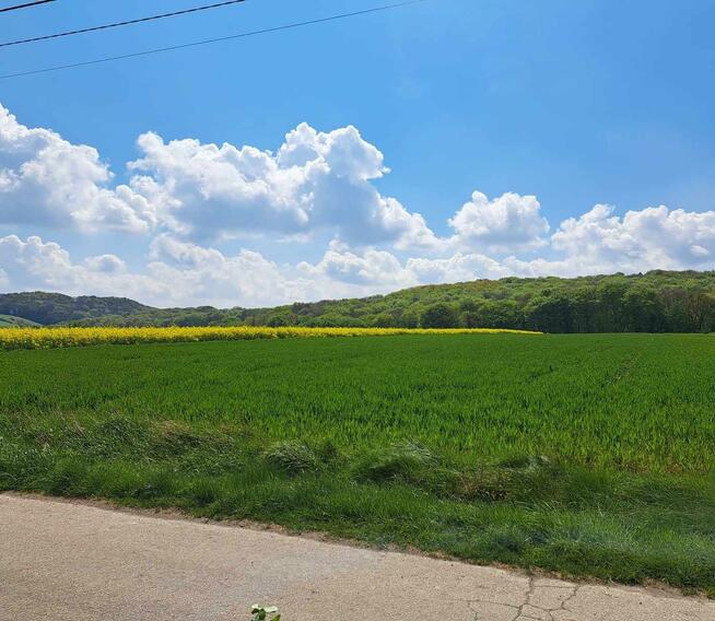 Działka siedliskowa Przybysławice gm. Skała