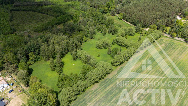 2988 m² z zadrzewieniem, blisko Jelcz i Oława