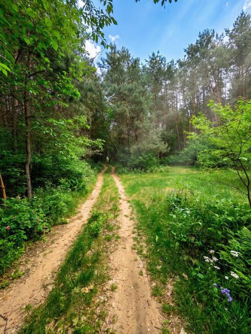 Działka inwestycyjna - 9.41ha nad jeziorem | MEDIA | MPZP |