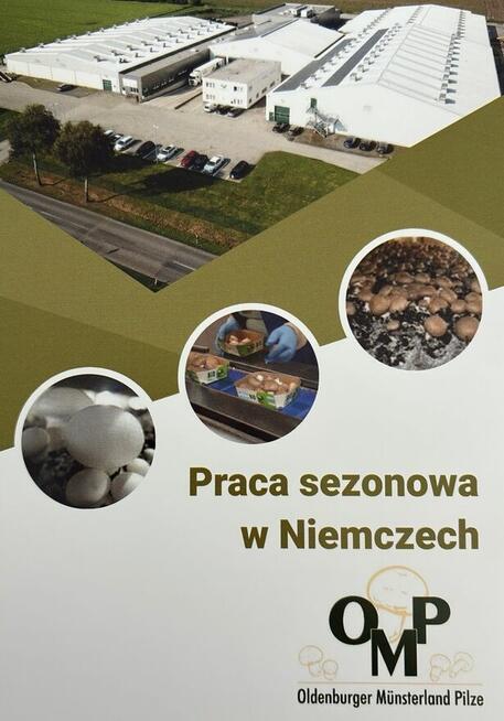 Produkcja pieczarek