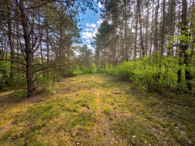 Działka inwestycyjna - 9.41ha nad jeziorem | MEDIA | MPZP |