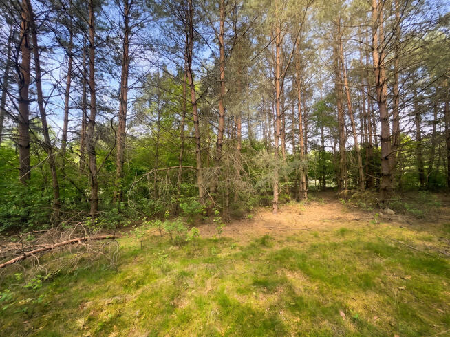 Działka inwestycyjna - 9.41ha nad jeziorem | MEDIA | MPZP |
