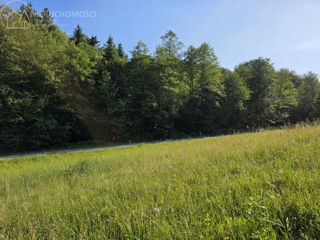 Działka budowlana Siekierczyna gm. Ciężkowice