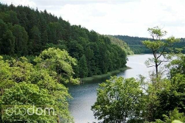 Na raty działki w lesie w otoczeniu jezior warmia