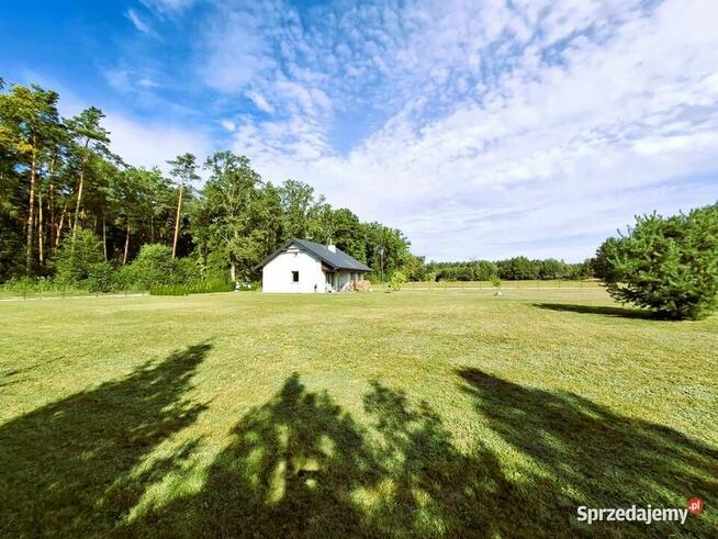 Działka budowlana 2000mkw Białe Bloto / Dobroszyce