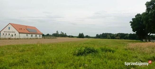 Działka pod 9 domów z WZ Brzezie/ Trzebnica