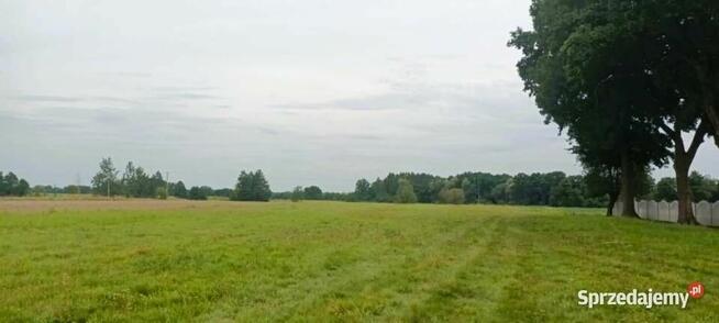 Działka pod 9 domów z WZ Brzezie/ Trzebnica