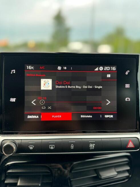 Citroen C4 Cactus 1.2 PureTech 110km