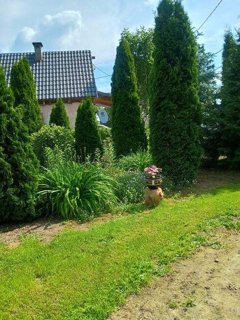 Sprzedam dom z działką
