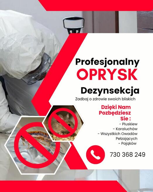Zwalczanie Pluskiew Dezynsekcja Pest Quest Best
