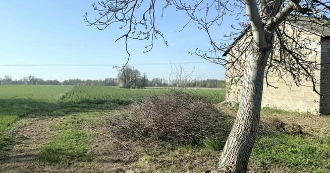 Sprzedam Siedlisko wraz z ziemią