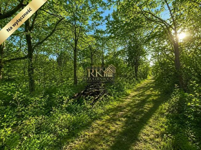 Premium Investment Plot – 2010 m² | Siedlce