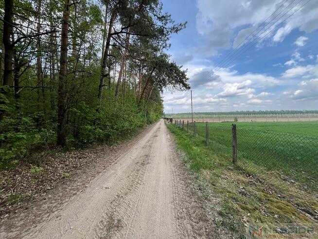 Klimatyczne siedlisko 2,2 ha z własnym lasem