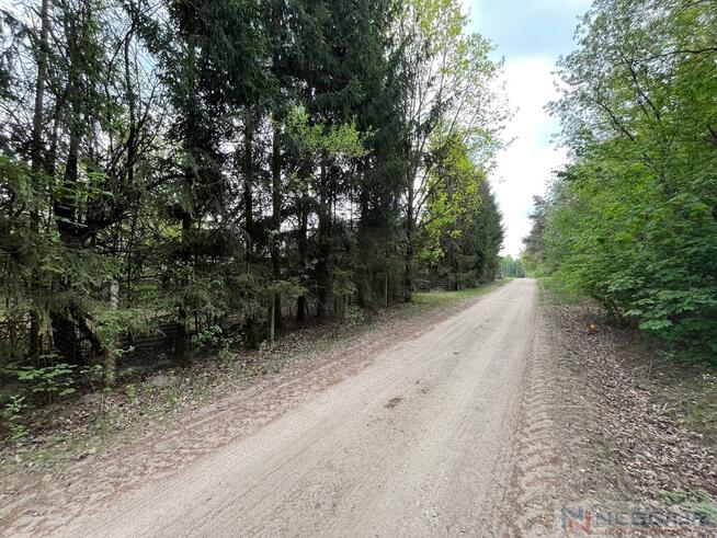 Klimatyczne siedlisko 2,2 ha z własnym lasem