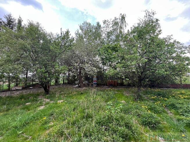Klimatyczne siedlisko 2,2 ha z własnym lasem