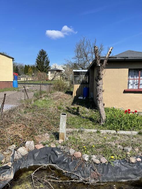 Działka Rekreacyjna Rod Szubin Polecam