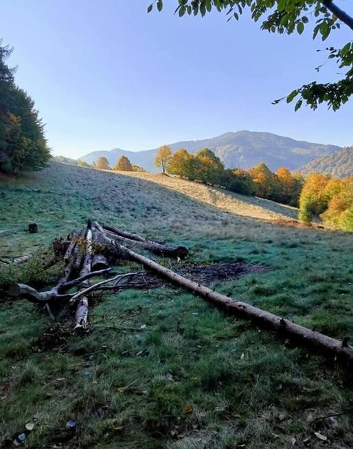SPRZEDAM domek letniskowy całoroczny