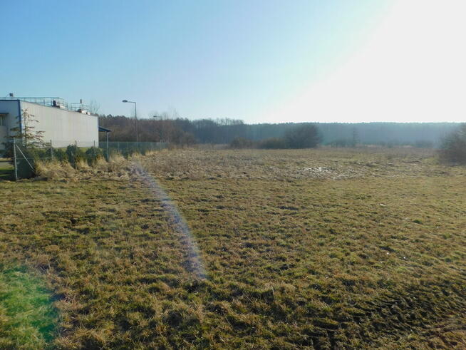 Syndyk sprzeda - Mogielnica, dz. nr 1656 i 1745