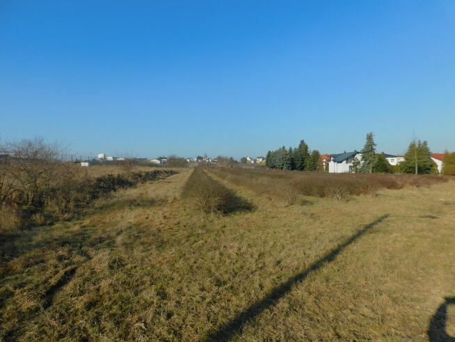 Syndyk sprzeda - Mogielnica, dz. nr 1272, 1304 oraz 1303