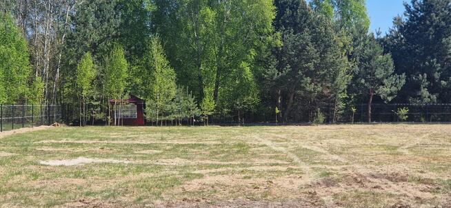 Sprzedam działkę budowlaną przy lesie 2800m2 Sierpów