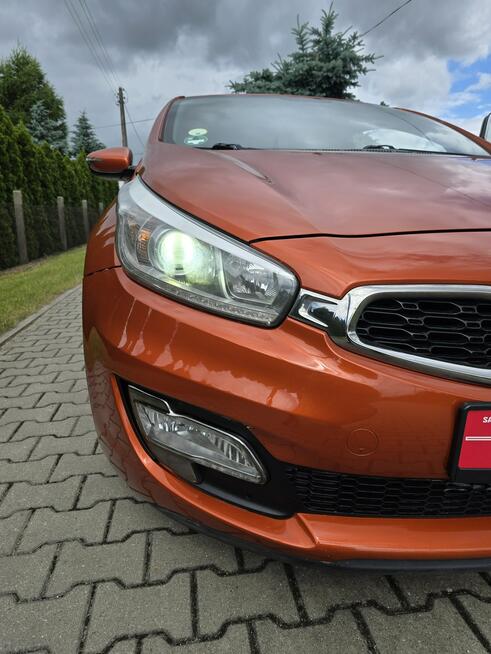 Kia Cee'd 1,6DIESEL. Navi.Podg.KierownicaLedy.LIFT.Podg.Fot.Skóry.Klimatr 2 str.
