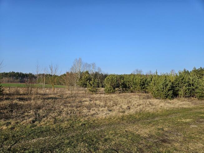 Działka rekreacyjna 1500m