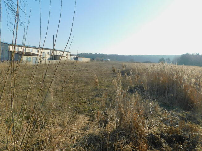 Syndyk sprzeda - Mogielnica, dz. nr 1658 i 1747