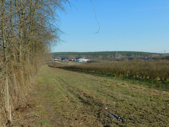 Syndyk sprzeda - Mogielnica, dz. nr 1138/1 i 1138/2
