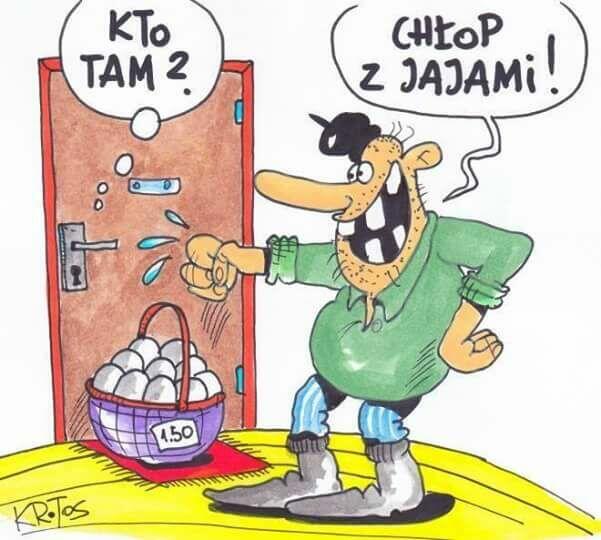 Szukam pani
