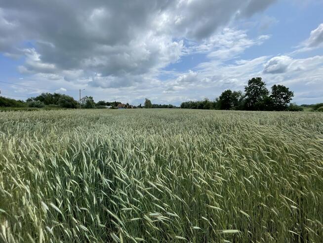 Działki z MPZP w miejscowości Niedary 25,35ar oraz 11,7ar