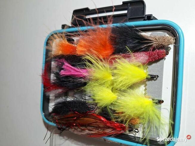 Przynęty wędkarskie: Muchy 30 sztuk + pudełko