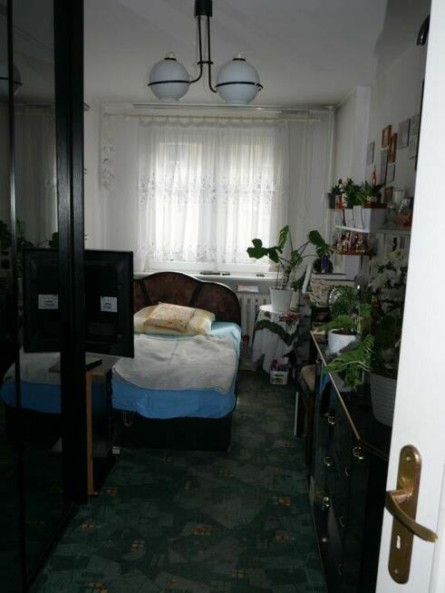 Mieszkanie, 50,20 m², Żagań