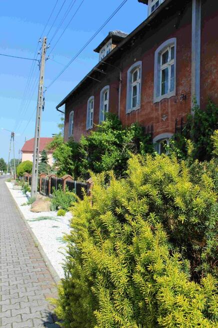 Kamieniczka z dawną Mleczarnią, 3 mieszkania, Kominek