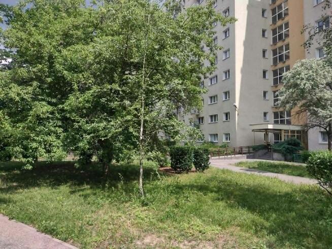 Do wynajęcia przytulne 3 pokoje na Bielanach