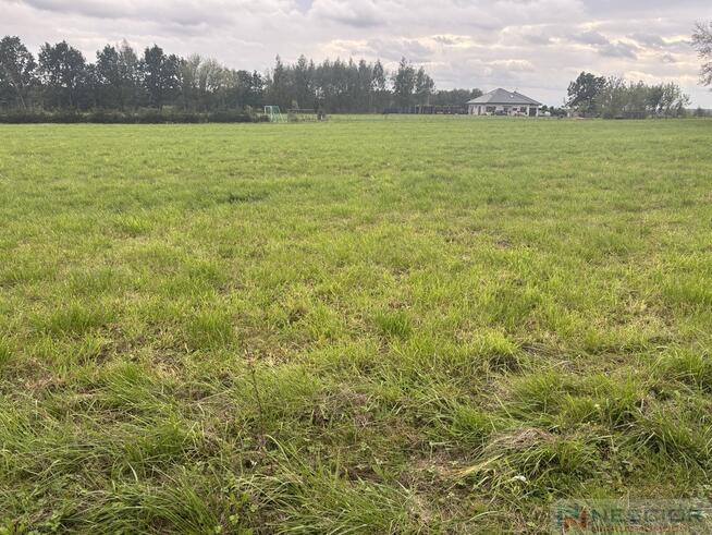 Działka budowlano-zagrodowa –Teodorów, gm. Skórzec