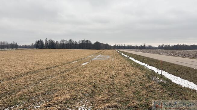 Trzy działki budowlane – ul. Ogrodowa, Wiśniew