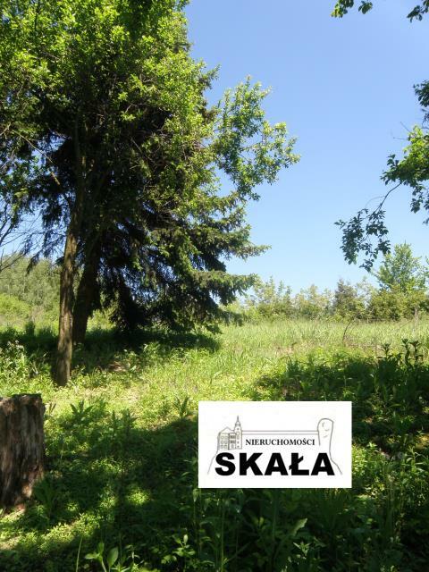 Działka budowlana Nowa Wieś gm. Skała
