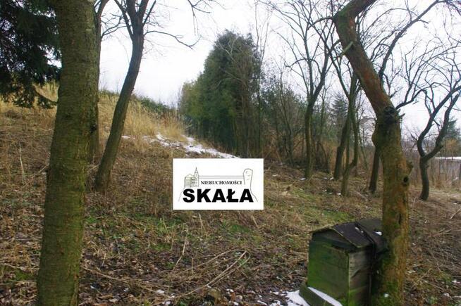 Działka budowlana Nowa Wieś gm. Skała