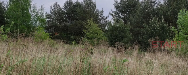 Działka budowlana Łoś gm. Prażmów,