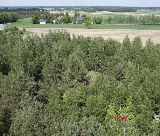 Działka budowlana Załuski, Leśna
