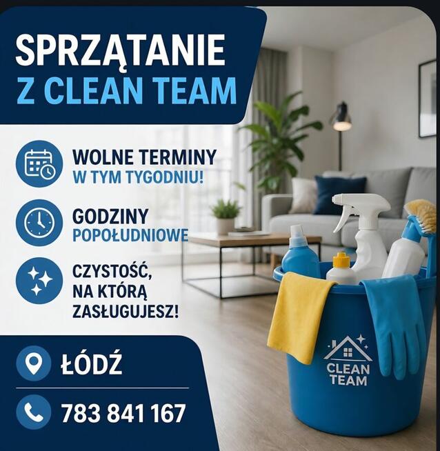 Profesjonalne sprzątania