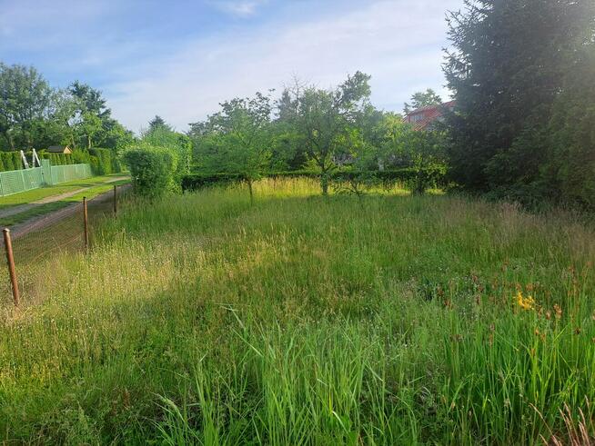 Działka ROD 3 ary, Legnica, ROD Nad Wierzbakiem
