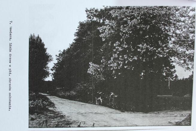 Okazja: Historyczny Dworek 179m² , dz. 0,8 ha w Sercu Polski