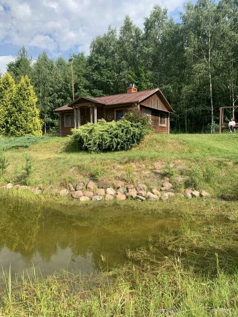 Domek w Borach Tucholskich na woda w lesie